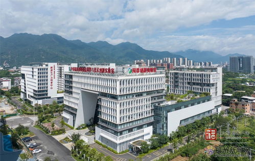 追光逐電向 新 行 福州推進技術和產品升級,搶占光電產業新高地